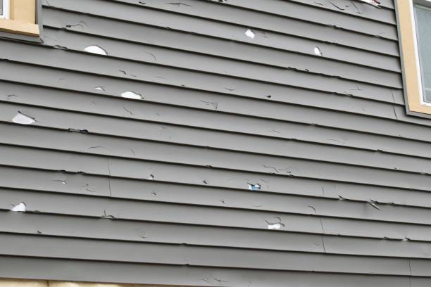 Trusted Rancho Tehama Reserve, CA Siding Services Experts